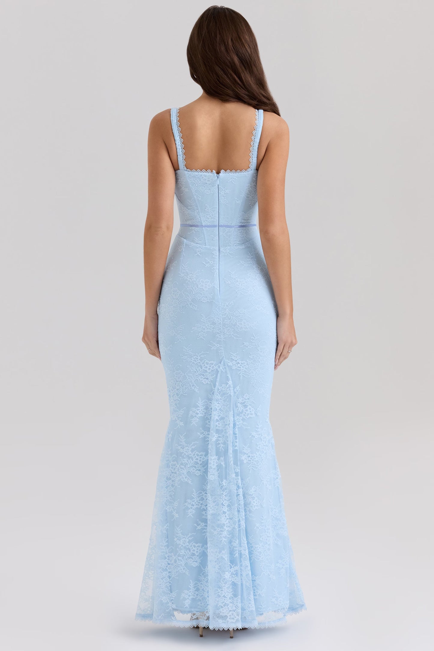 Selene Sheer Maxi Dress