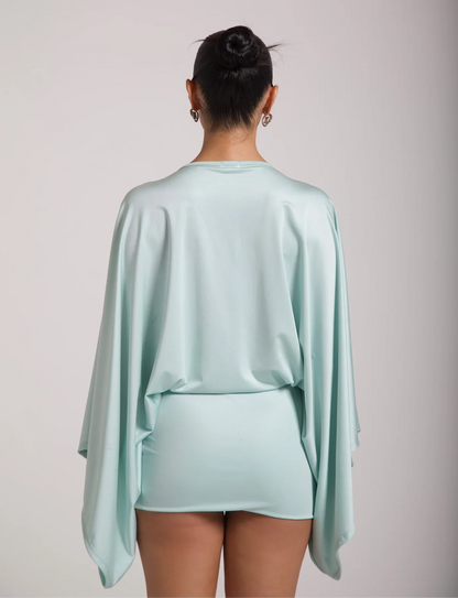 Sophie Mini-Dress