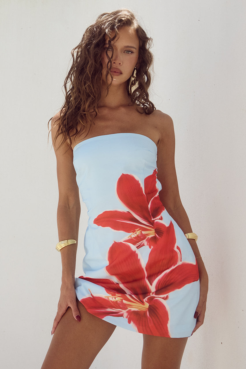 Anna – Mini Dress