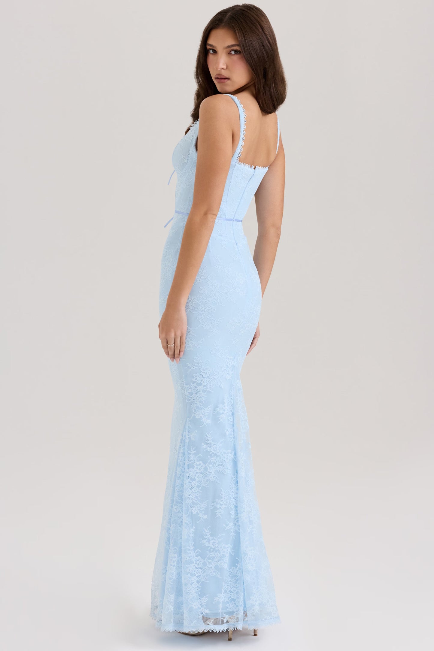 Selene Sheer Maxi Dress